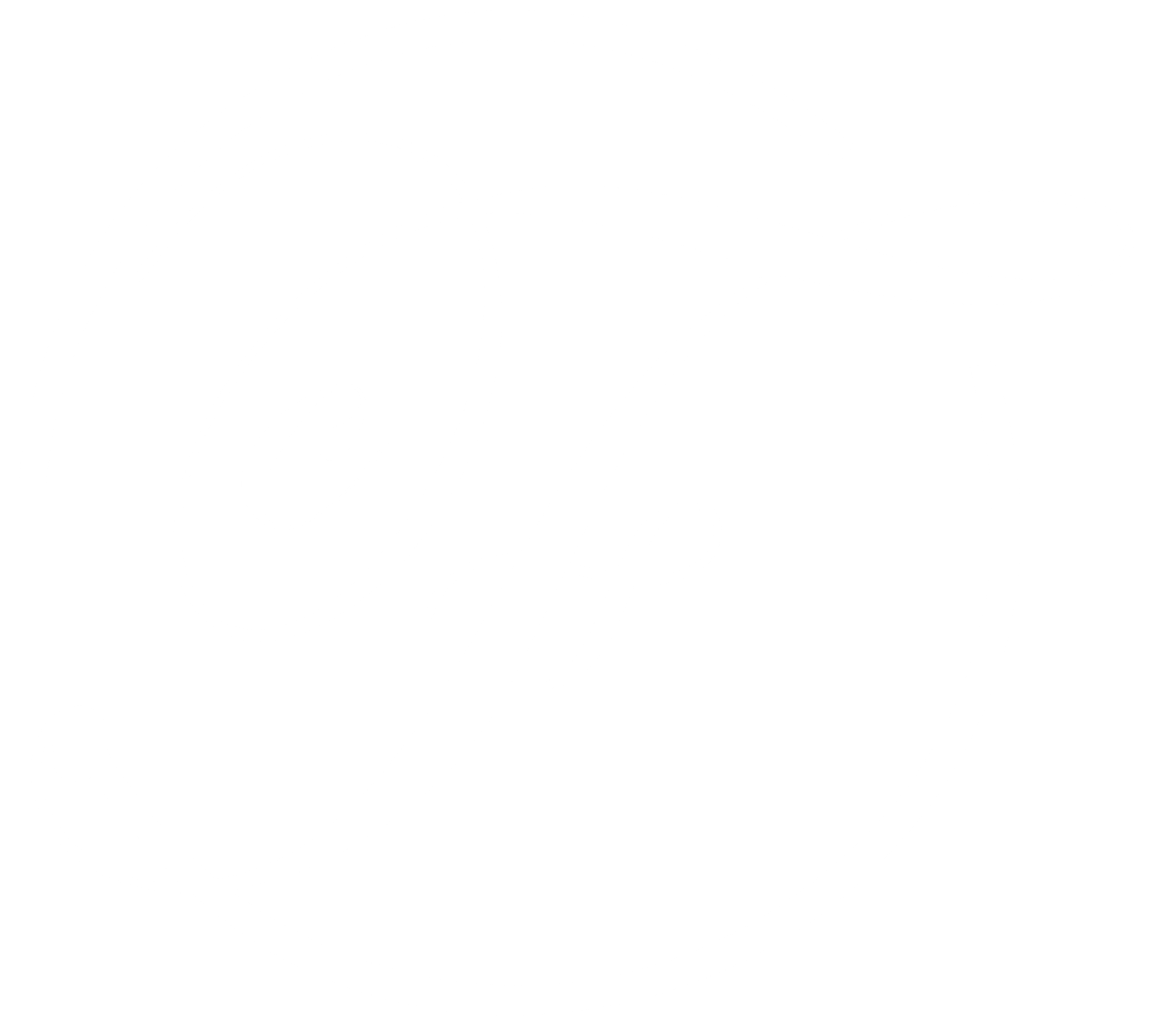 chaosFORM_logo_WHITE (2)